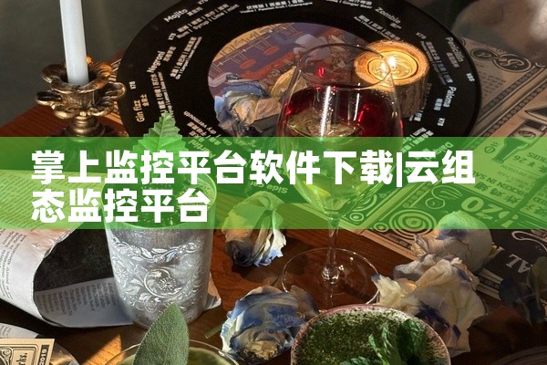 掌上监控平台软件下载