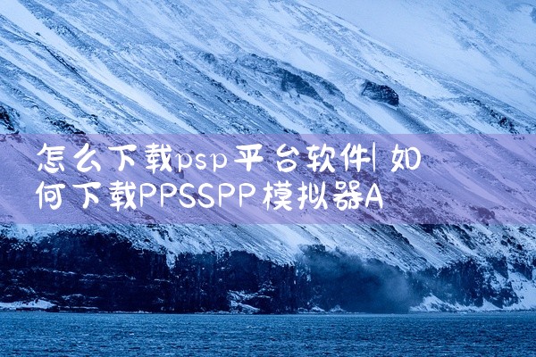怎么下载psp平台软件