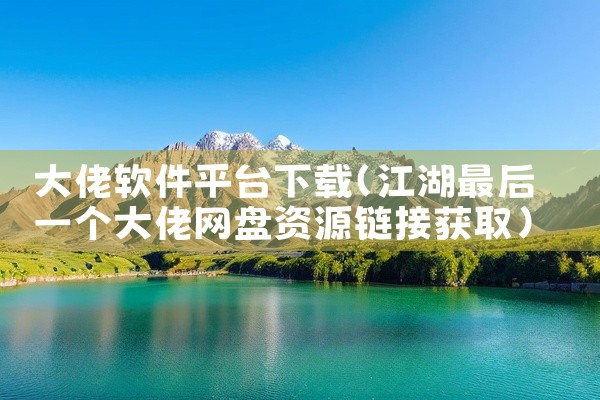 大佬软件平台下载
