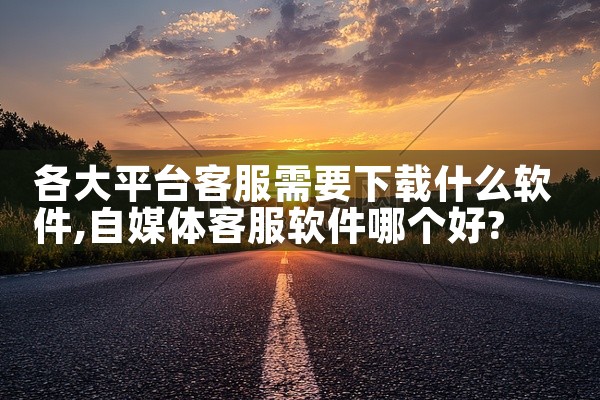 各大平台客服需要下载什么软件