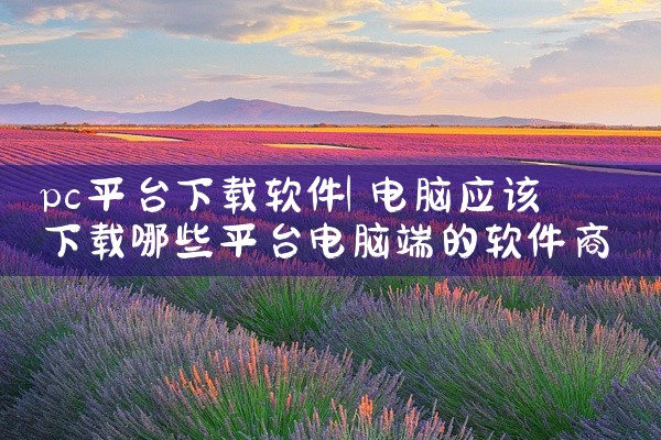 pc平台下载软件