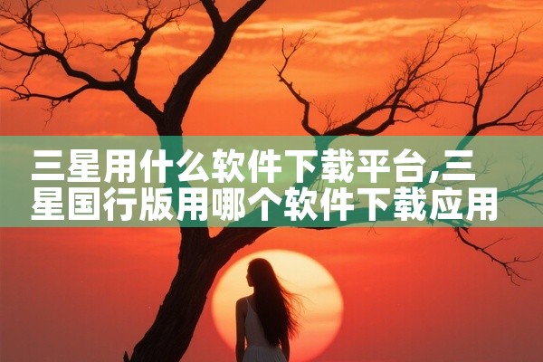 三星用什么软件下载平台